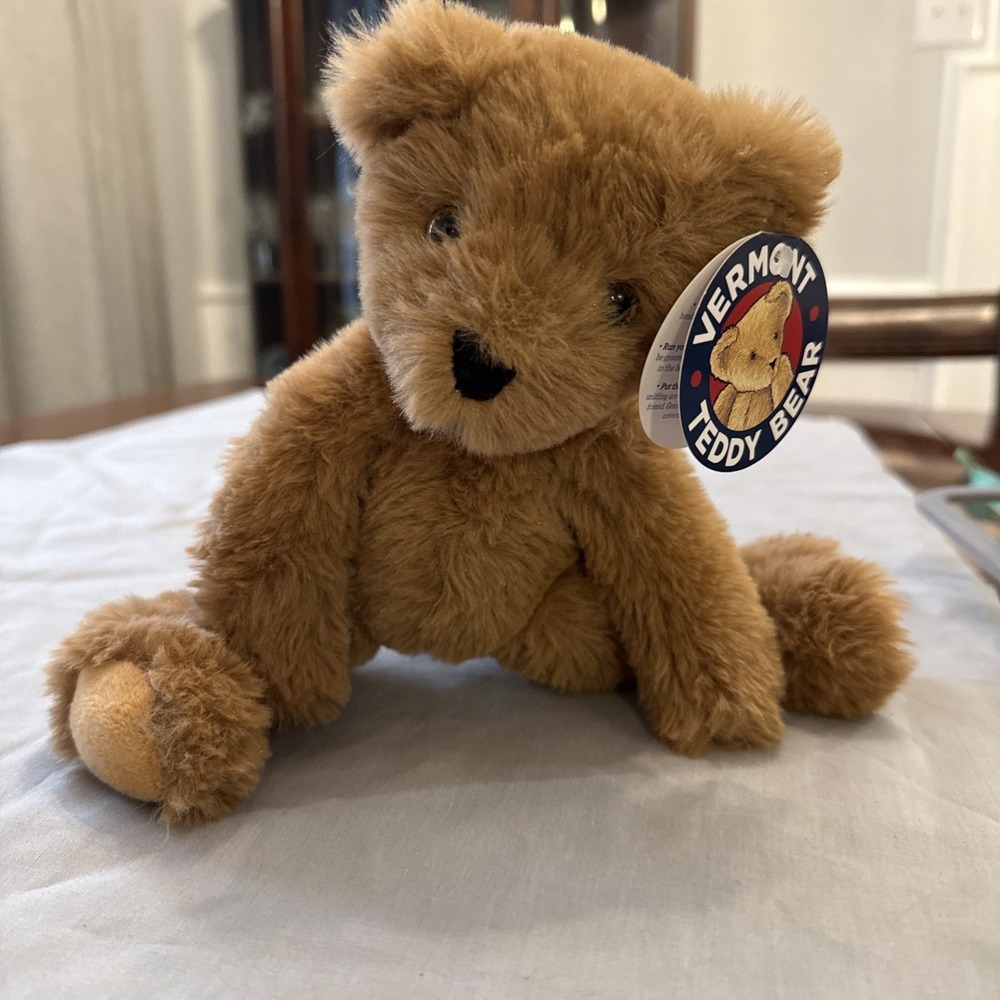 Vermont Teddy Bear Co Buddy Bear 12" Plush Stuffed Animal Lovey Rare HTF NWT